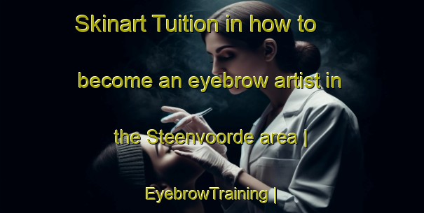 Skinart Tuition in how to become an eyebrow artist in the Steenvoorde area | EyebrowTraining | EyebrowClasses | SkinartTraining-France